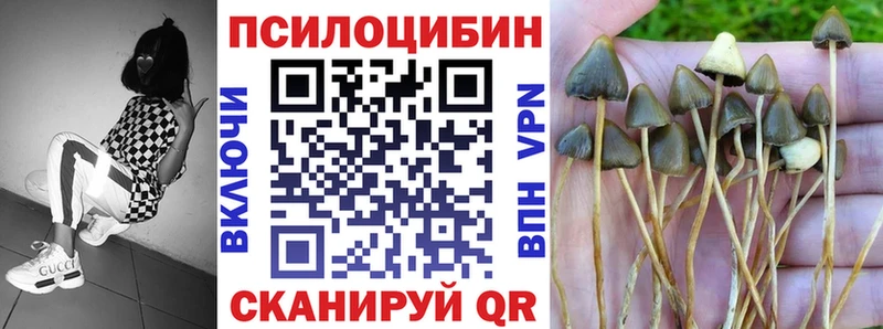 Псилоцибиновые грибы Cubensis  Купить  Спас-Деменск 